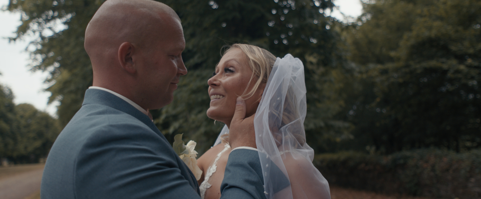 Portfolio background